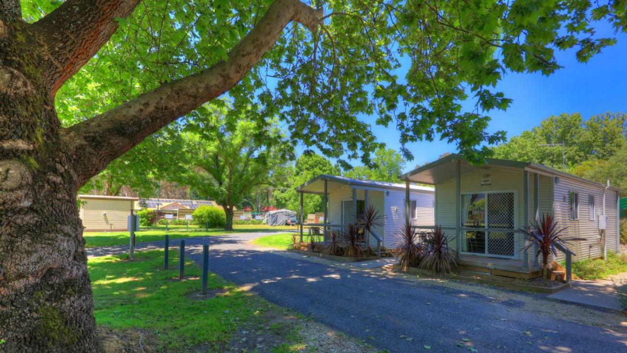 Myrtleford Holiday Park Екстериор снимка